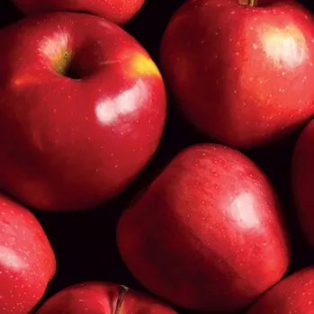 Manzana
