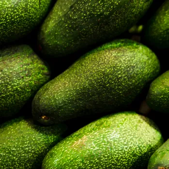 Aguacate