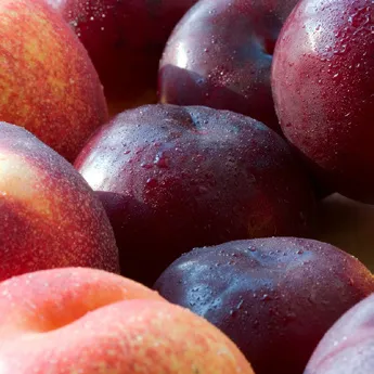 Fruta de hueso