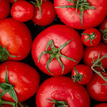 Tomate