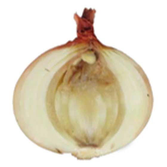 Cebolla — Podredumbre interna