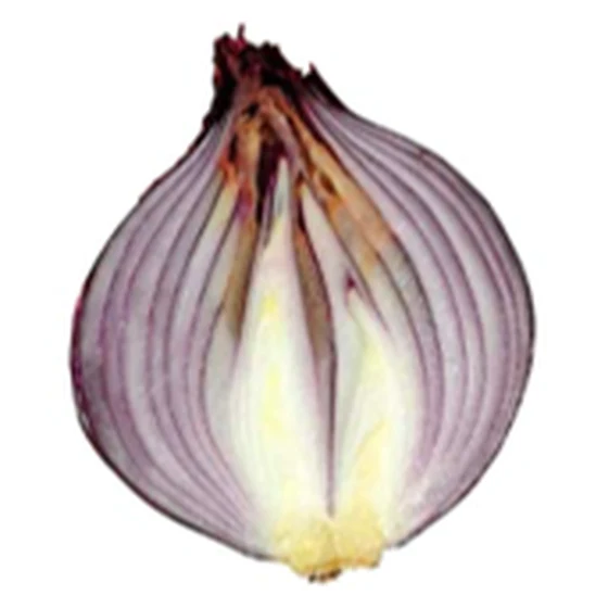 Cebolla — Podredumbre del cuello