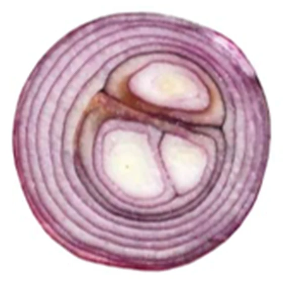 Cebolla — Dobles