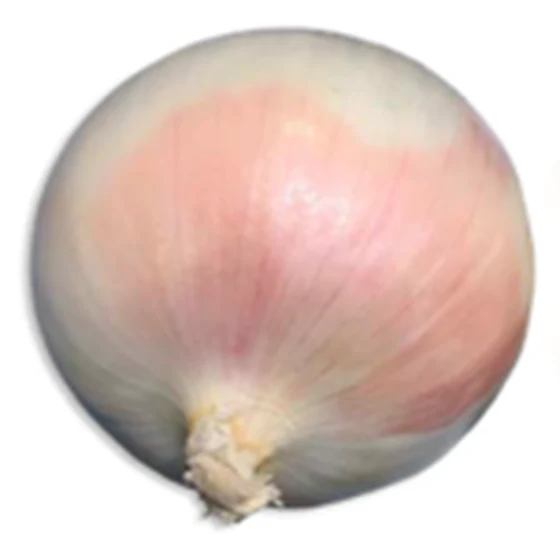 Cebolla — Color