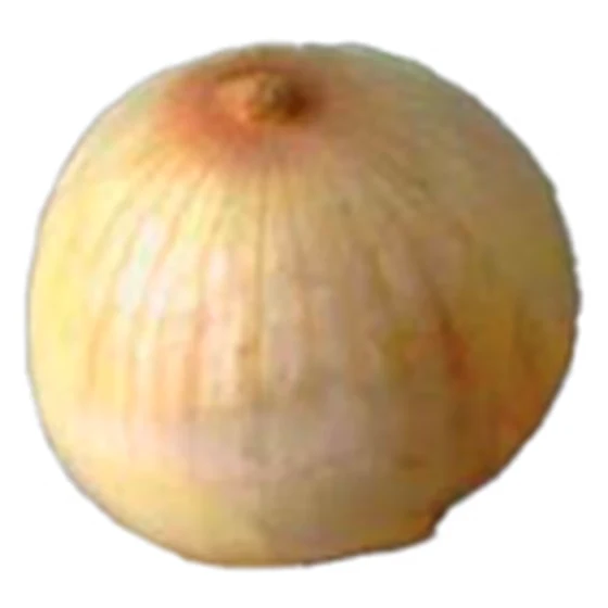 Cebolla — Quemadura solar