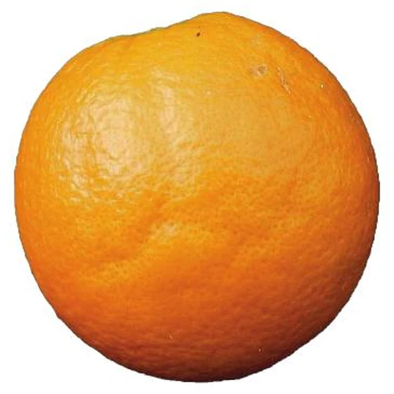 Naranja — Colapso del albedo