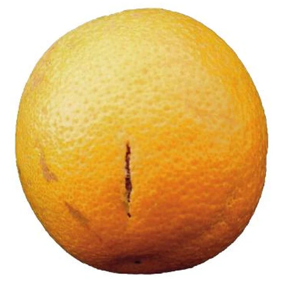 Naranja — Rajado