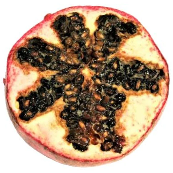 Granada — Corazón negro — fase avanzada