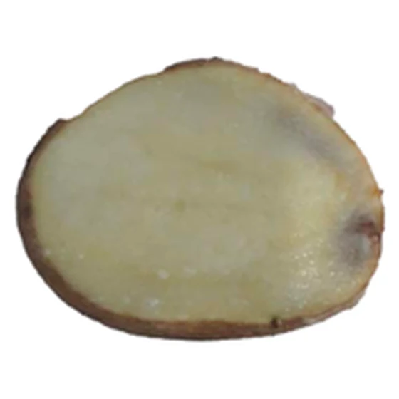 Patata — Vitrescencia