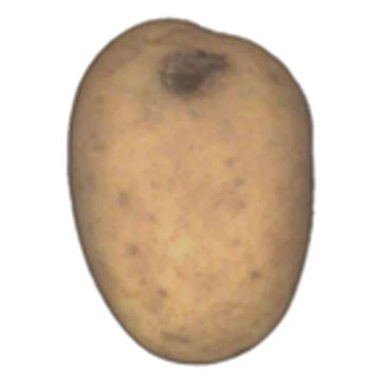 Patata — Magulladura