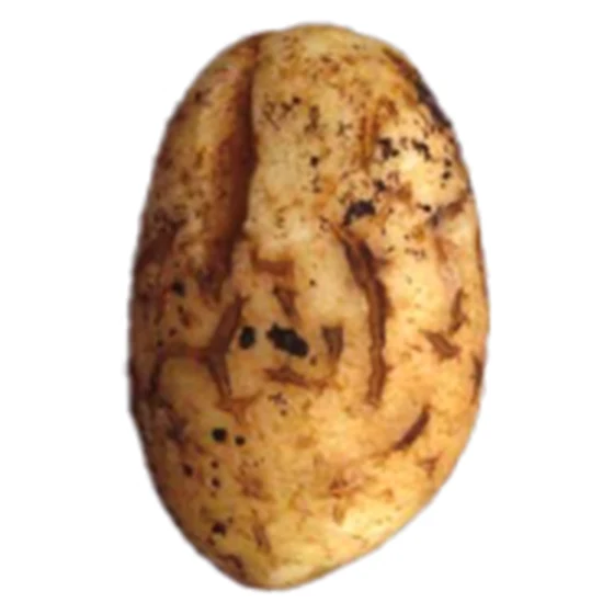 Patata — Grietas de crecimiento
