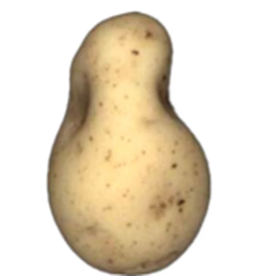 Patata — Deforme