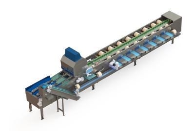 Electronic Sorter